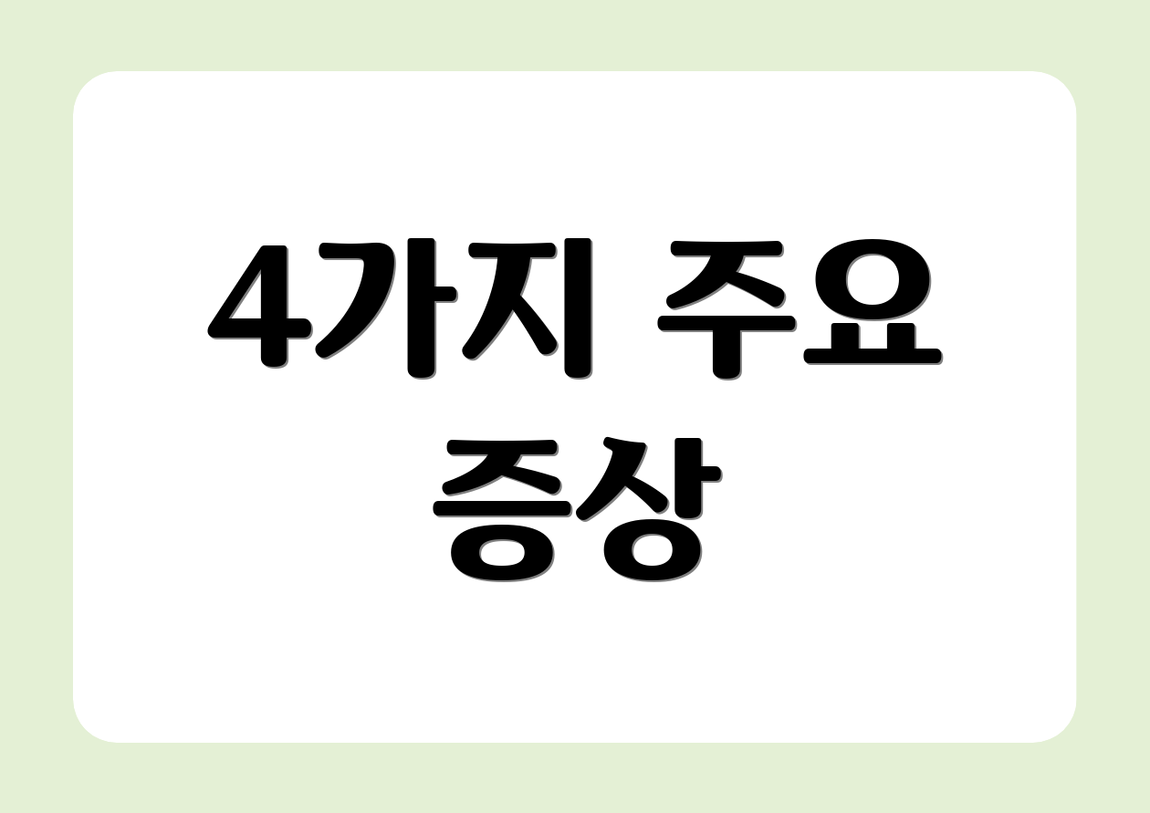 4가지 주요 증상