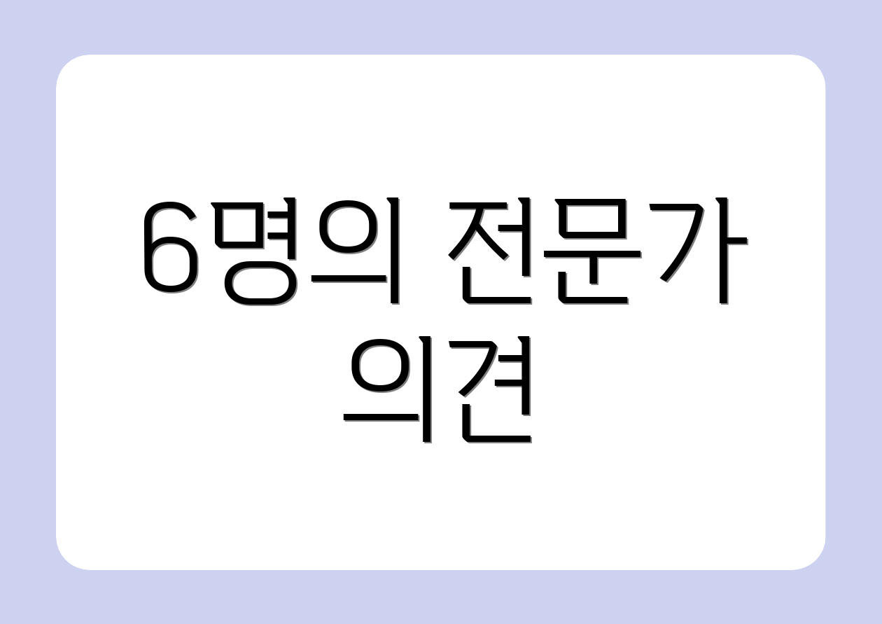 6명의 전문가 의견